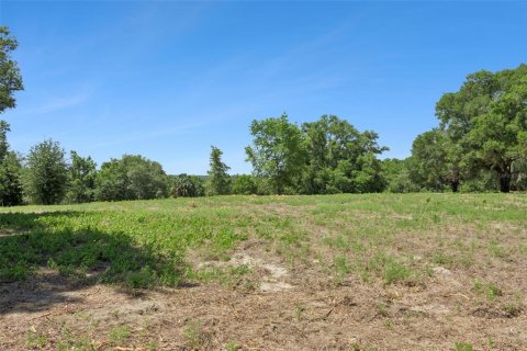 Land in Lady Lake, Florida № 2213757 - photo 6