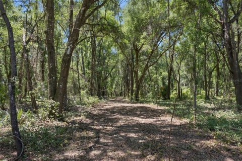 Land in Lady Lake, Florida № 2213757 - photo 19