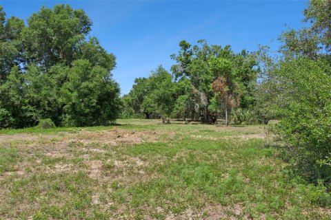 Land in Lady Lake, Florida № 2213757 - photo 14