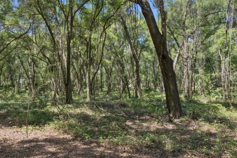 Land in Lady Lake, Florida № 2213757 - photo 20