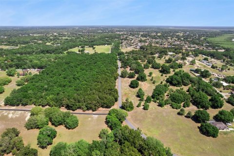 Land in Lady Lake, Florida № 2213757 - photo 30
