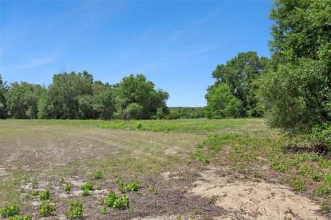 Land in Lady Lake, Florida № 2213757 - photo 8