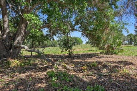 Land in Lady Lake, Florida № 2213757 - photo 18