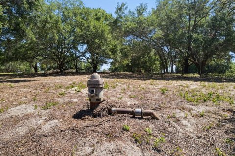 Land in Lady Lake, Florida № 2213757 - photo 25