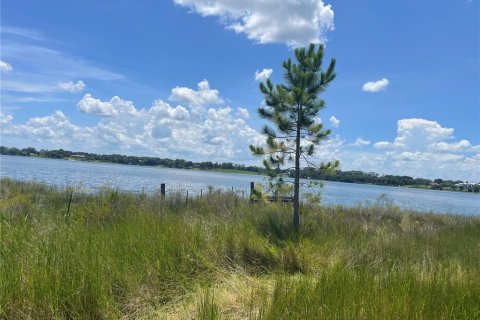 Terreno en venta en Umatilla, Florida № 1288106 - foto 18