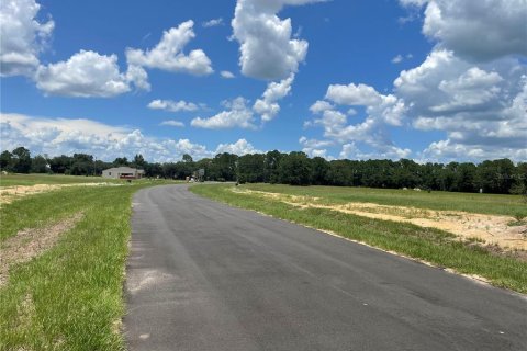 Terreno en venta en Umatilla, Florida № 1288106 - foto 3
