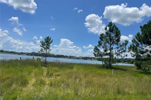Terreno en venta en Umatilla, Florida № 1288106 - foto 13
