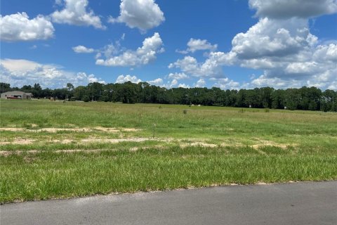 Terreno en venta en Umatilla, Florida № 1288106 - foto 7