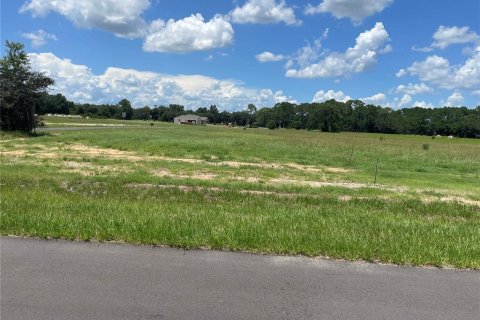 Terreno en venta en Umatilla, Florida № 1288106 - foto 6