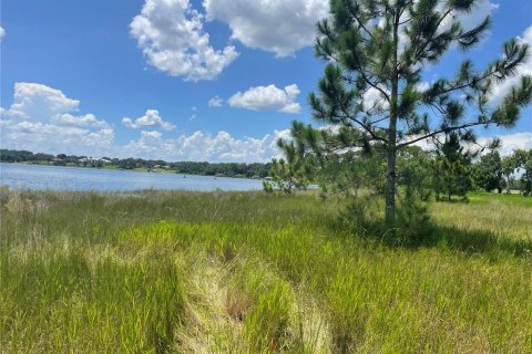 Terreno en venta en Umatilla, Florida № 1288106 - foto 19