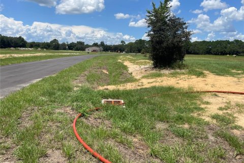 Terreno en venta en Umatilla, Florida № 1288106 - foto 8