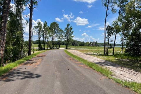 Terreno en venta en Umatilla, Florida № 1288106 - foto 10