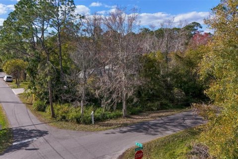 Land in Chuluota, Florida № 1750940 - photo 8