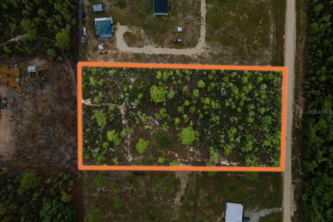 Terreno en venta en Williston, Florida № 1787902 - foto 1