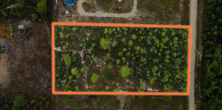 Terreno en Williston, Florida № 1787902