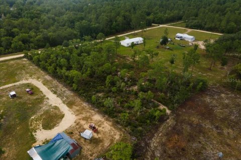 Terreno en venta en Williston, Florida № 1787902 - foto 2