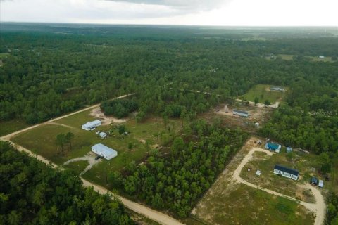 Terreno en venta en Williston, Florida № 1787902 - foto 3