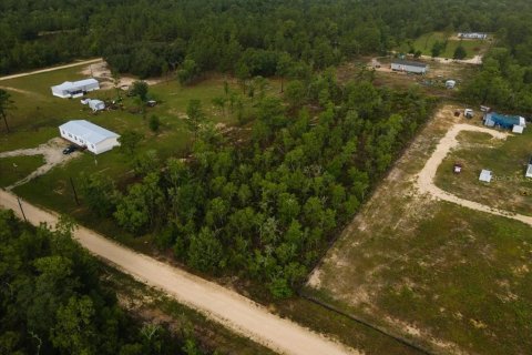 Terreno en venta en Williston, Florida № 1787902 - foto 4