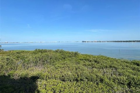 Condo in Saint Petersburg, Florida, 2 bedrooms  № 1724922 - photo 10