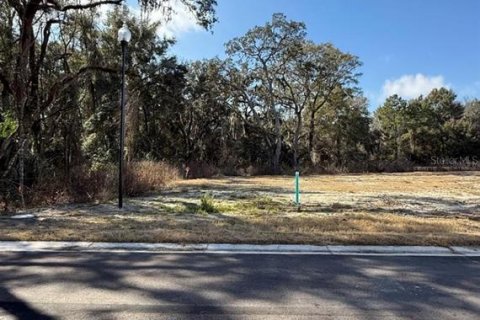 Casa en venta en Newberry, Florida, 5 dormitorios, 251.3 m2 № 2198857 - foto 2