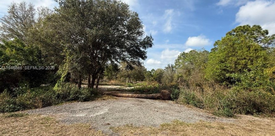 Land in Clewiston, Florida № 2002901