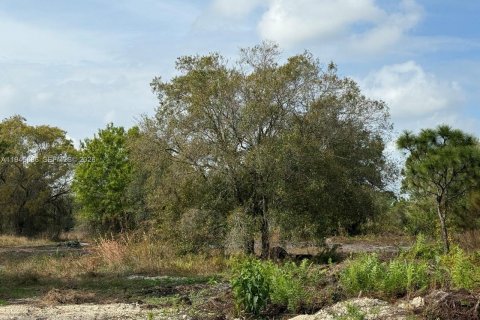 Land in Clewiston, Florida № 2002901 - photo 14