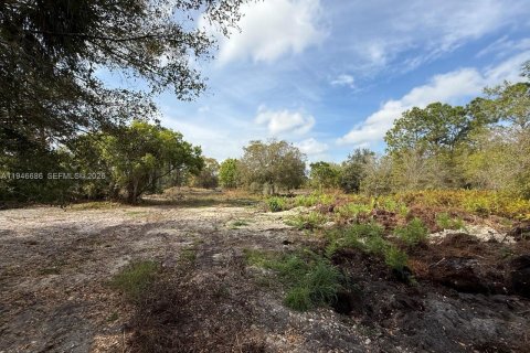 Land in Clewiston, Florida № 2002901 - photo 11