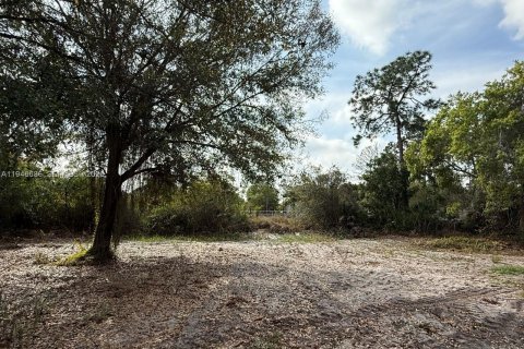 Land in Clewiston, Florida № 2002901 - photo 15