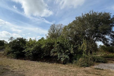 Land in Clewiston, Florida № 2002901 - photo 9