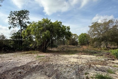 Land in Clewiston, Florida № 2002901 - photo 16