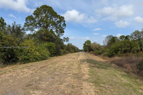 Land in Clewiston, Florida № 2002901 - photo 6