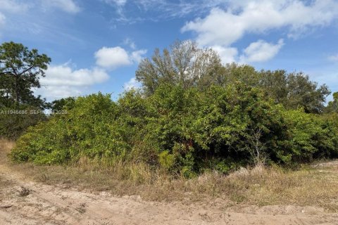 Land in Clewiston, Florida № 2002901 - photo 18