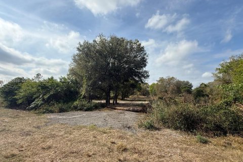 Land in Clewiston, Florida № 2002901 - photo 2