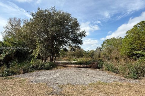 Land in Clewiston, Florida № 2002901 - photo 8