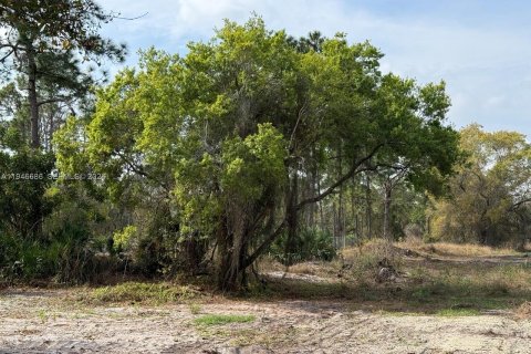 Land in Clewiston, Florida № 2002901 - photo 13