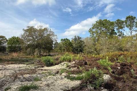 Land in Clewiston, Florida № 2002901 - photo 17