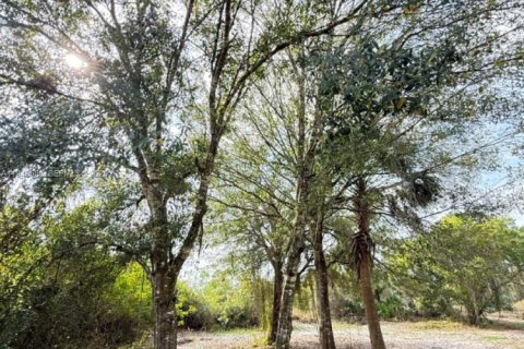 Land in Clewiston, Florida № 2002901 - photo 10