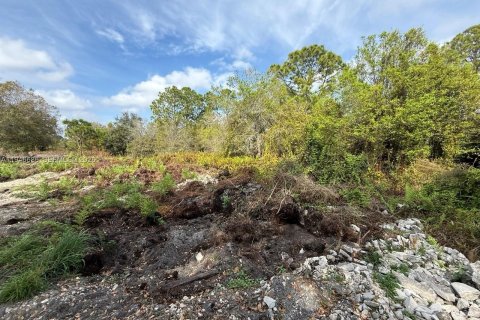 Land in Clewiston, Florida № 2002901 - photo 12