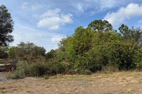 Land in Clewiston, Florida № 2002901 - photo 7