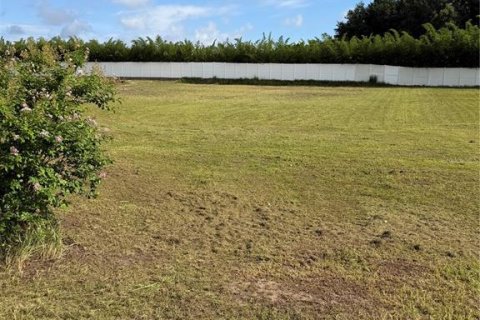 Terreno en venta en Davenport, Florida № 2222455 - foto 3