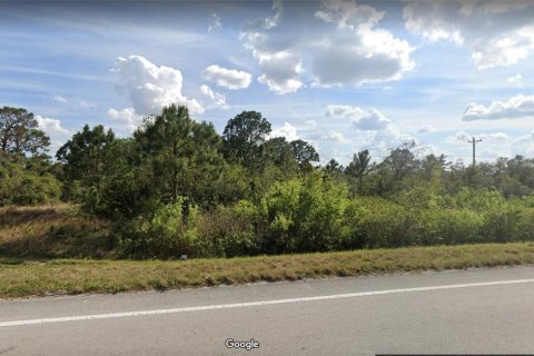 Terrain à Lake Placid, Floride № 2239819