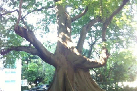 Condo in Miami, Florida, 2 bedrooms  № 1953762 - photo 18