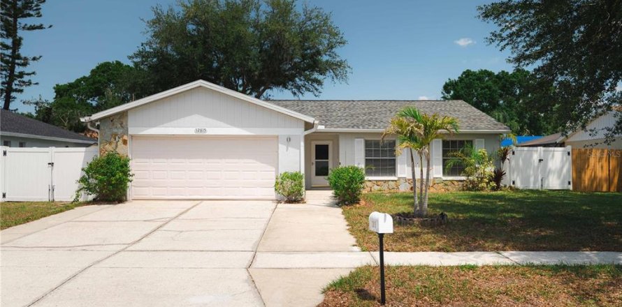 House in Riverview, Florida 4 bedrooms, 142.51 sq.m. № 1735018