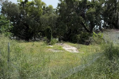 Land in Leesburg, Florida № 2203030