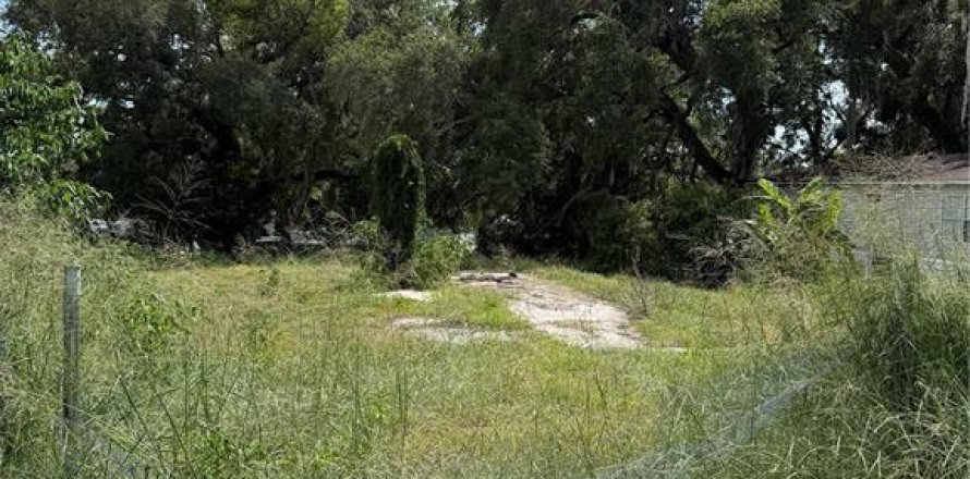 Terrain à Leesburg, Floride № 2203030