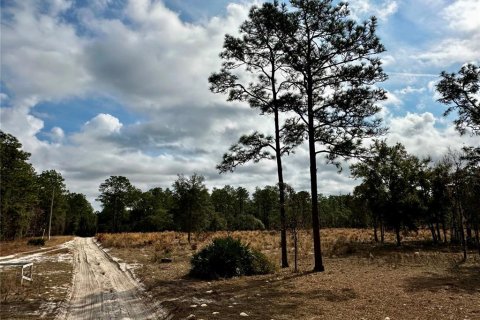 Land in Dunnellon, Florida № 1562936 - photo 1