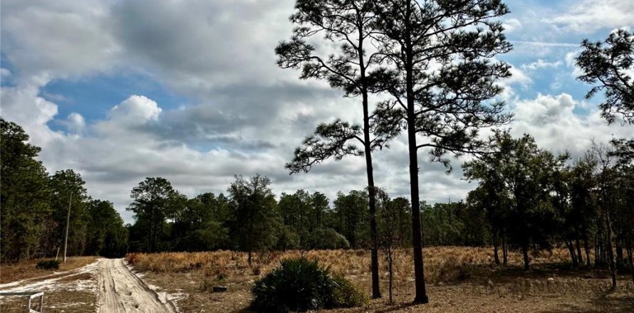 Land in Dunnellon, Florida № 1562936