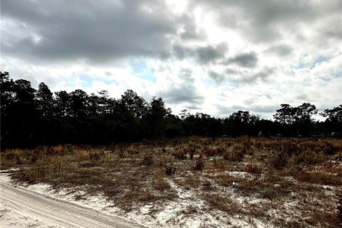 Land in Dunnellon, Florida № 1562936 - photo 3