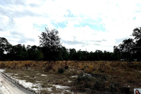 Land in Dunnellon, Florida № 1562936 - photo 5