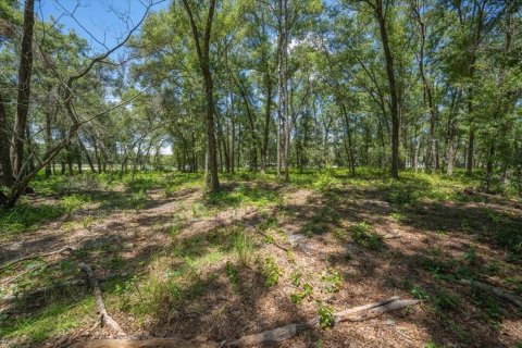 Land in Spring Hill, Florida № 1869531 - photo 4